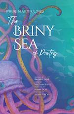 The Briny Sea of Poetry