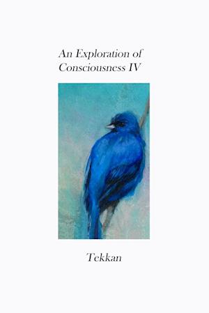 An Exploration of Consciousness IV