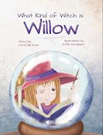 What Kind of Witch is Willow? 