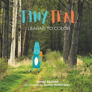 Tiny Teal Learns to Color