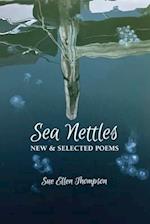 Sea Nettles
