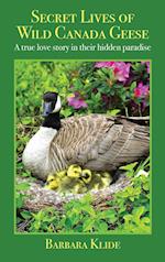 Secret Lives of Wild Canada Geese: A true love story in their hidden paradise 