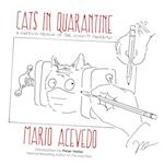 Cats in Quarantine 
