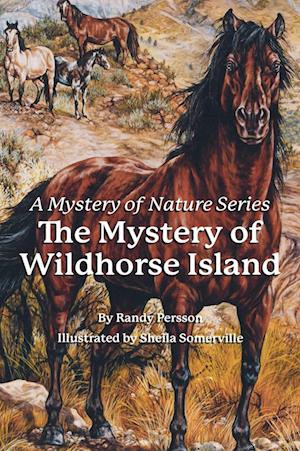 The Mystery of the Wildhorse Island