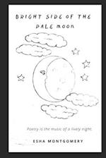 Bright Side of the Pale Moon 