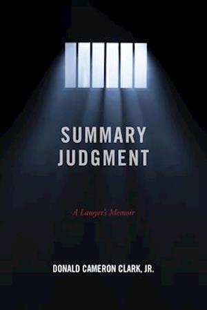 Summary Judgment: A Lawyer's Memoir