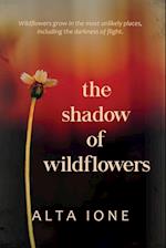 The Shadow of Wildflowers 