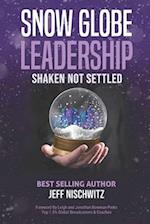 Snow Globe Leadership: Shaken Not Settled 