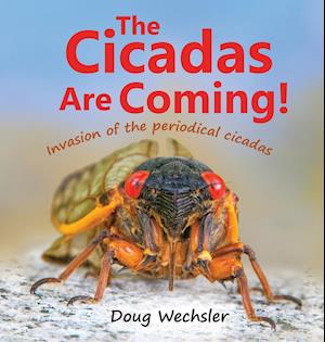 The Cicadas Are Coming!