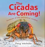 The Cicadas Are Coming! 