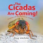 The Cicadas Are Coming!