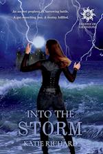 Into The Storm 