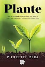 Plante