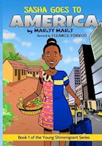 Sasha Goes to America: Book 1 of The Young Shimmigrant Series 