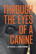 Through the Eyes of a Canine