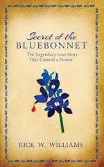 Secret of the Bluebonnet 