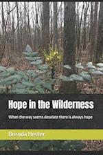 Hope in the Wilderness 