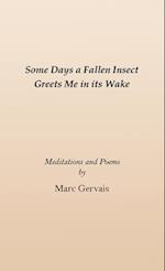 Some Days a Fallen Insect Greets Me in its Wake: Meditations and Poems 