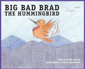 BIG BAD BRAD the Hummingbird