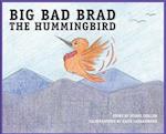BIG BAD BRAD the Hummingbird 