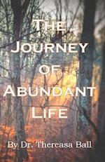 The Journey of Abundant Life 