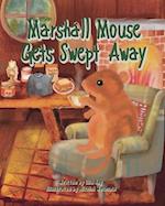 Marshall Mouse Gets Swept Away 