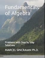 Fundamentals of Algebra: Problems with Step by Step Solutions 