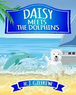 Daisy Meets the Dolphins 