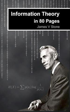 Information Theory in 80 Pages