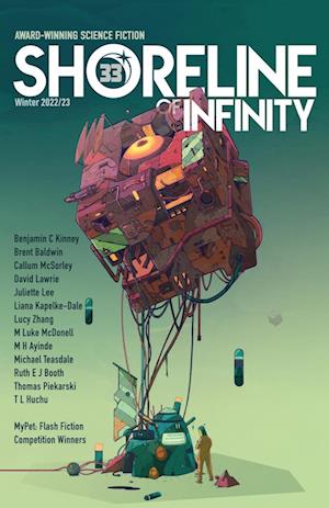 Shoreline of Infinity 33