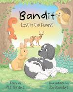 Bandit - Lost in the Forest 