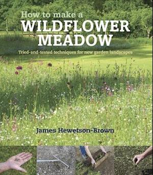 How to make a wildflower meadow