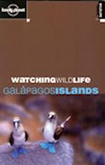 Galapagos Islands, Watching Wildlife*