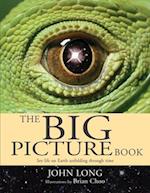 The Big Picture Book