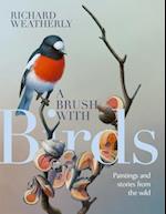 A Brush with Birds