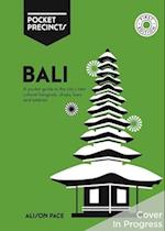Bali Pocket Precincts