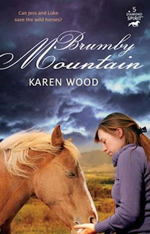 Brumby Mountain (Diamond Spirit 5)