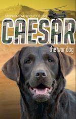 Caesar the War Dog