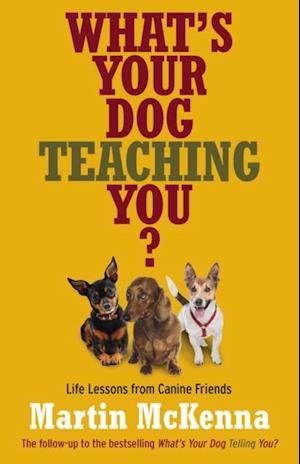 What's Your Dog Teaching You?