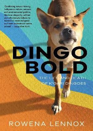 Dingo Bold