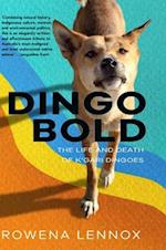 Dingo Bold: The Life and Death of K'gari Dingoes 