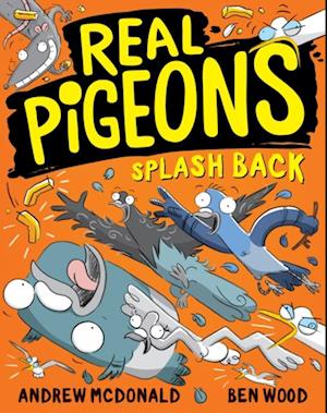 Real Pigeons Splash Back