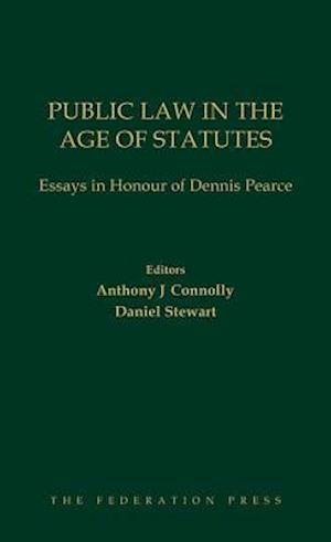 Public Law in the Age of Statutes