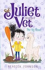 Big Flood: Juliet, Nearly a Vet (Book 11)