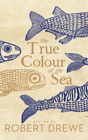 True Colour of the Sea