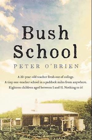 Bush School