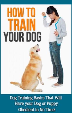 How to Train Your Dog