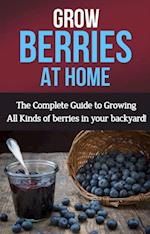 Grow Berries At Home : The complete guide to growing all kinds of berries in your backyard!