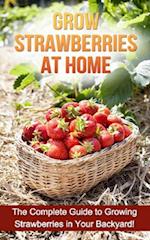 Grow Strawberries at Home