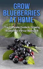 Grow Blueberries at Home : The complete guide to growing blueberries in your backyard!
